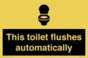 this-toilet-flushes-automatically~